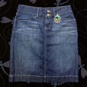 Denim Blue Women's Skirt
